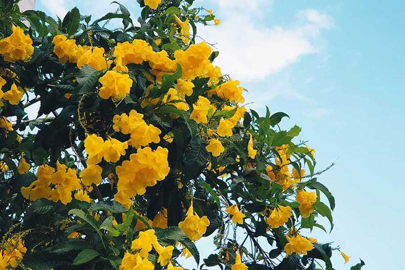 Rise in Indian Pharmaceutical Sales Globally