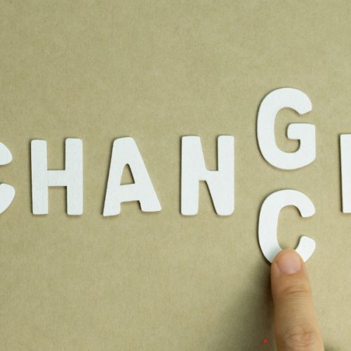 Change: Coping with Business Transitions